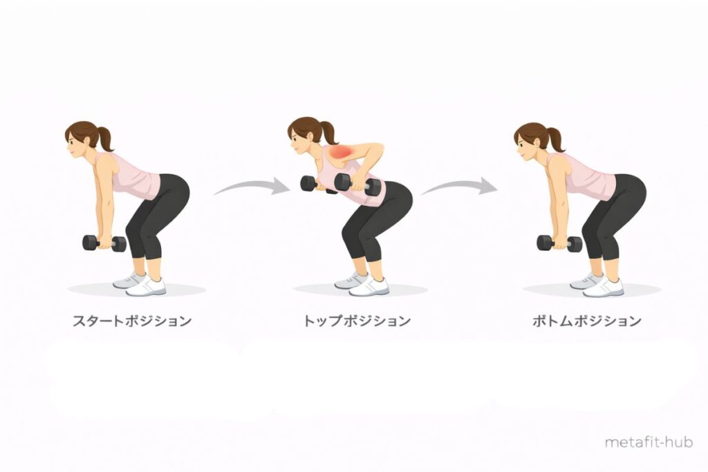 ダンベルベントオーバーロウのスタートポジション・トップポジション・ボトムポジションを示した図解イラスト