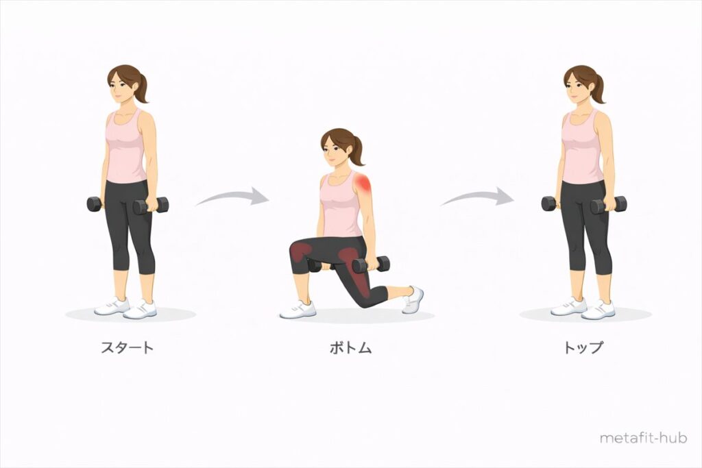 ダンベルランジのスタート・ボトム・トップポジションを示した図解イラスト。お尻と太ももに効かせる正しいフォームを解説
