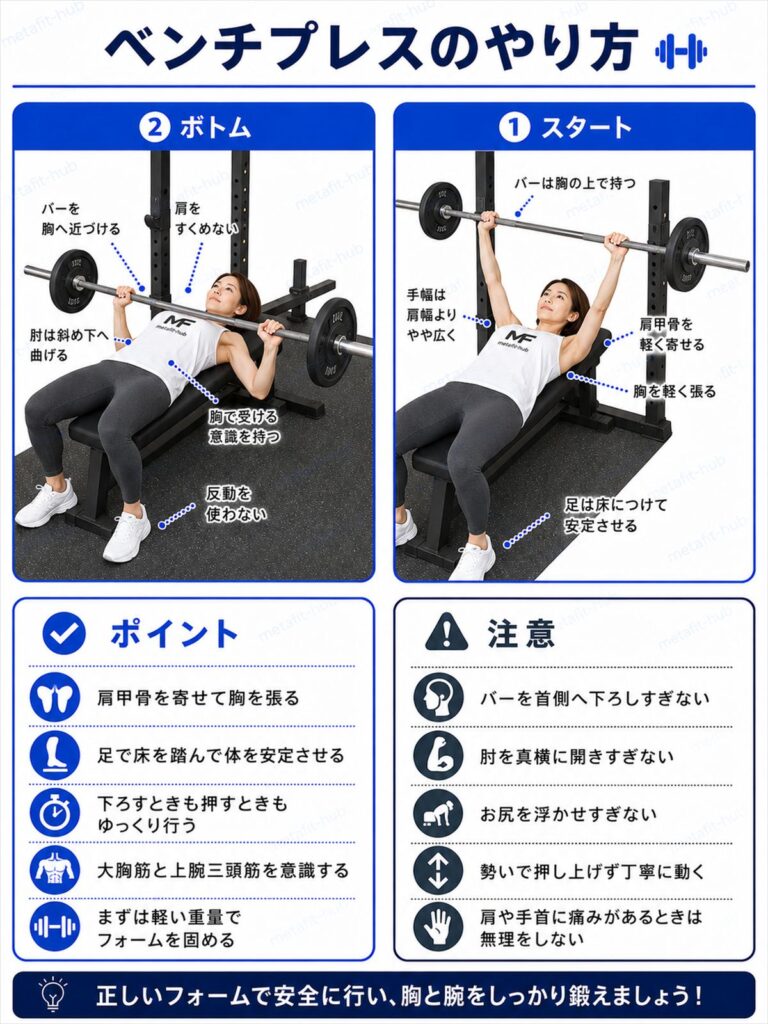 フラットベンチプレスで鍛えられる胸の筋肉図。大胸筋中部をメインに三角筋前部・上腕三頭筋も使われる