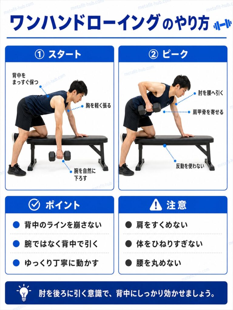 ワンハンドローイングのやり方を解説する筋トレ種目ガイド画像