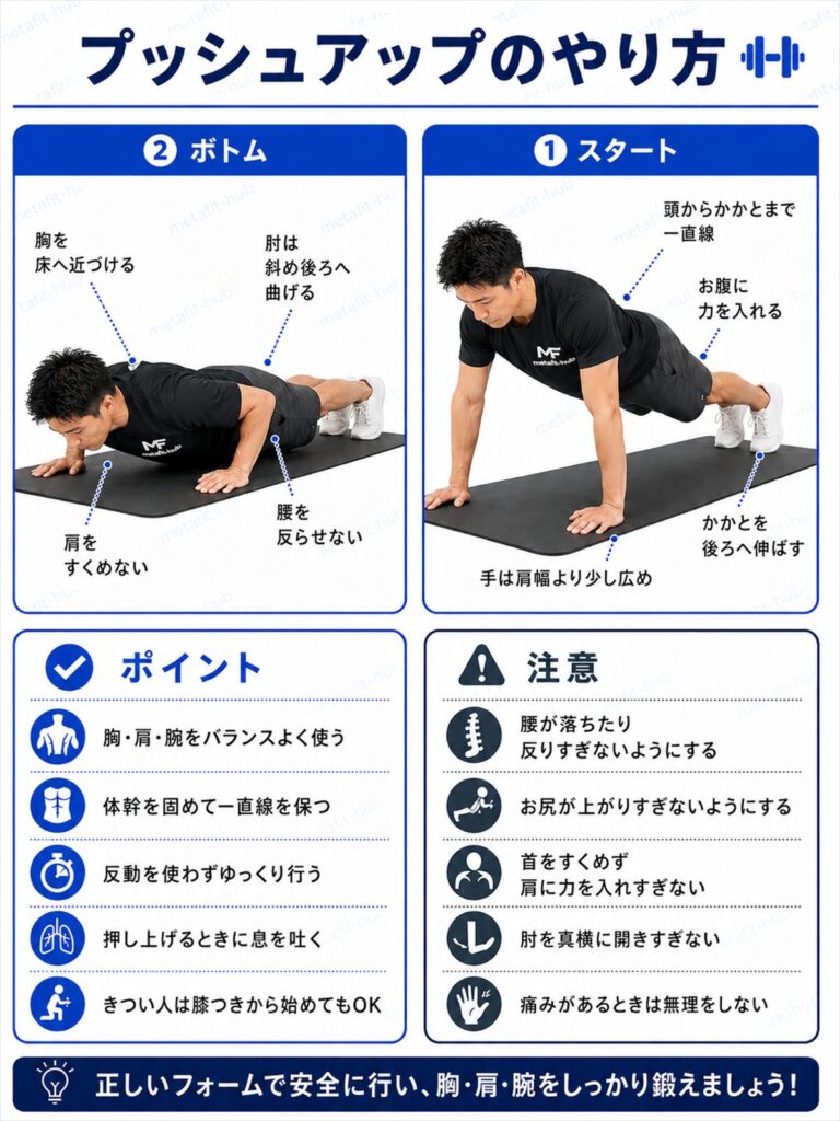 プッシュアップのやり方を解説する筋トレ種目ガイド画像