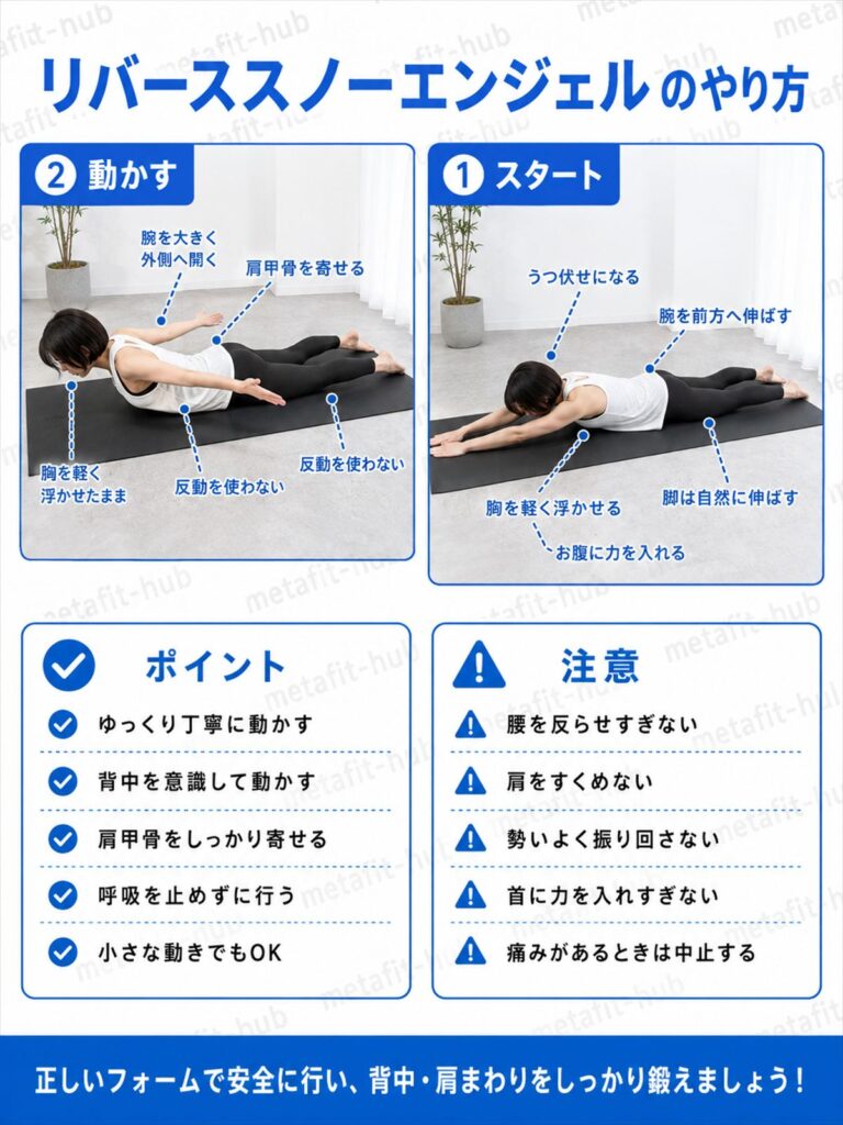 リバーススノーエンジェルのやり方を解説するインフォグラフィック｜スタートポジションと腕を頭上に伸ばしたキープ姿勢の2ステップ図解