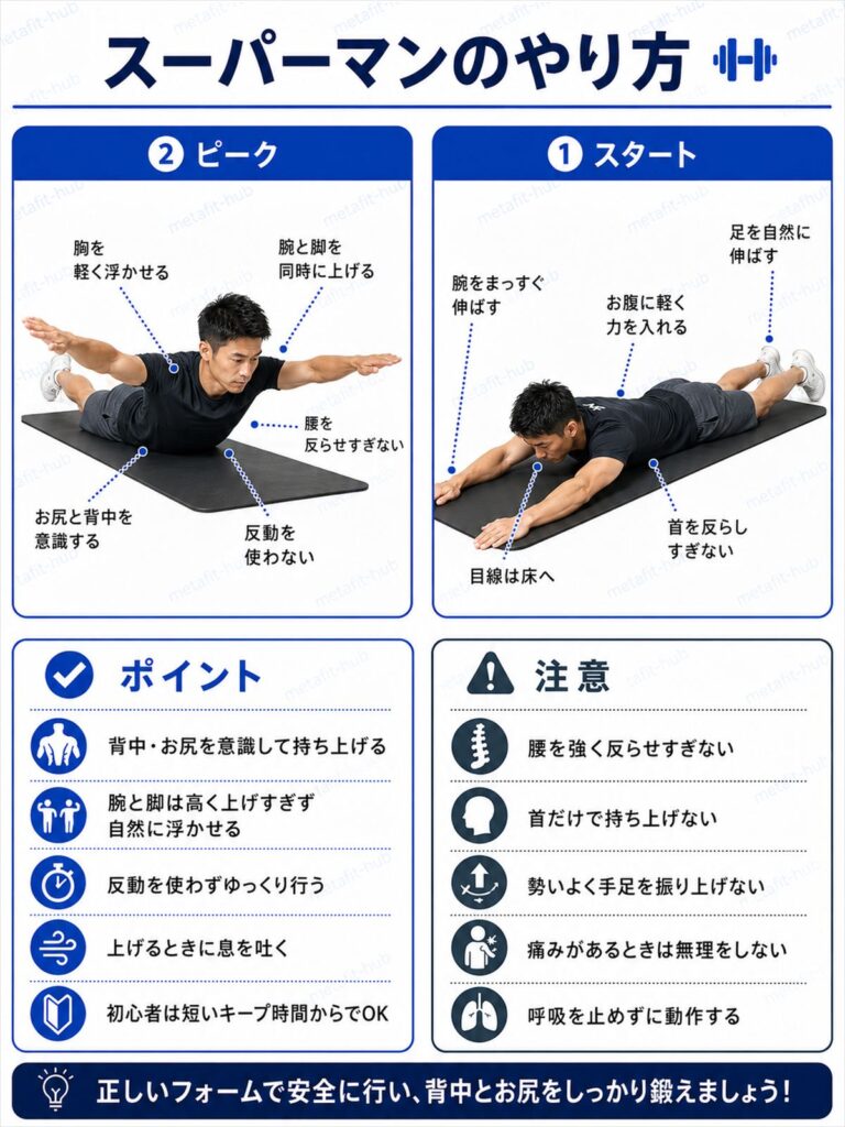 スーパーマンのやり方を解説する筋トレ種目ガイド画像