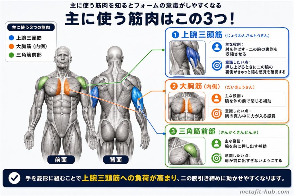 ダイアモンドプッシュアップで鍛えられる筋肉図。上腕三頭筋をメインに大胸筋内側・三角筋前部も使われる