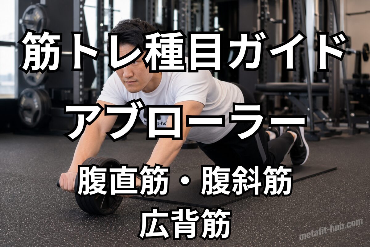 筋トレ種目ガイドとしてアブローラーで鍛えられる腹直筋・腹斜筋・広背筋を紹介するアイキャッチ画像