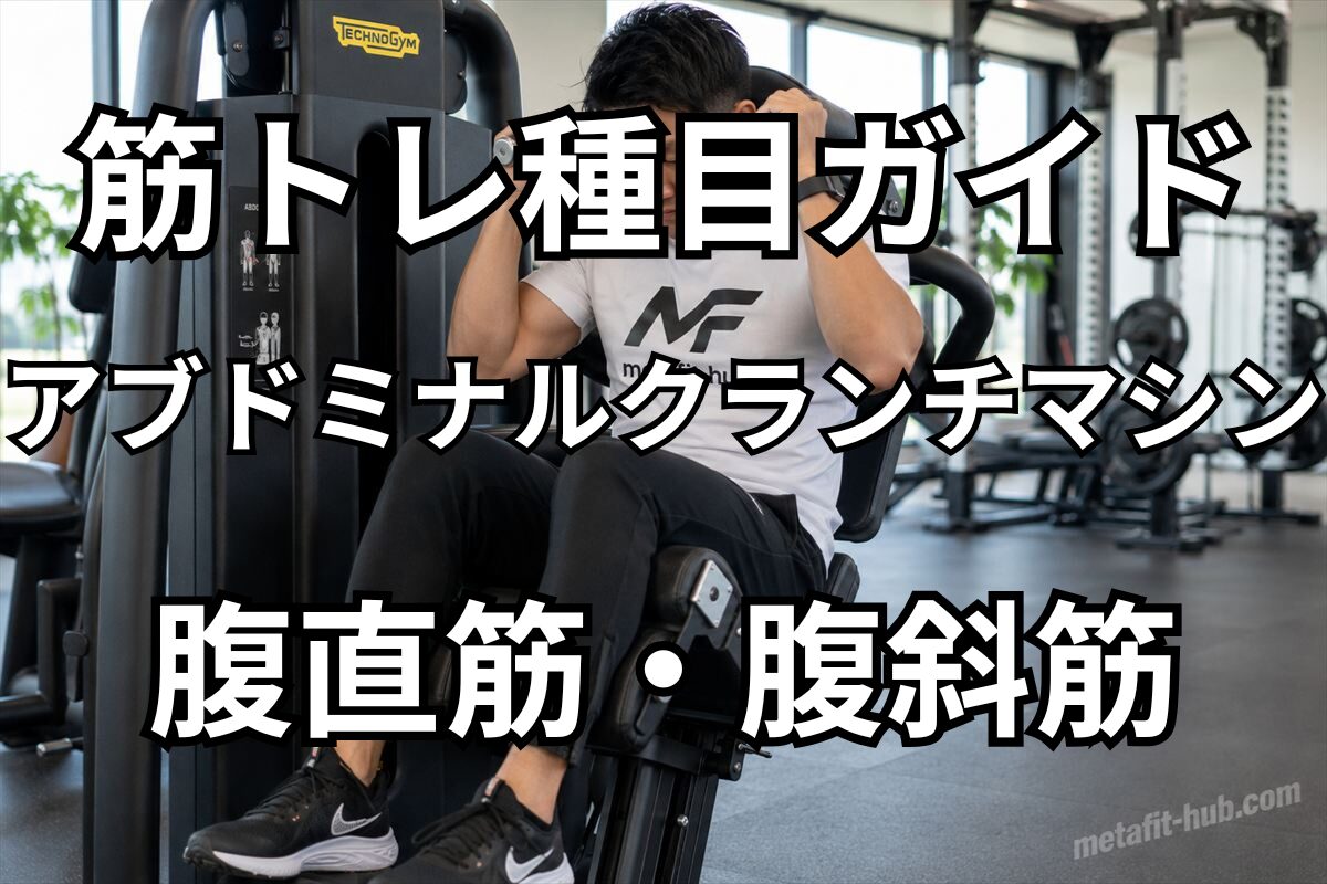 筋トレ種目ガイドとしてアブドミナルクランチマシンで鍛えられる腹直筋と腹斜筋を紹介するアイキャッチ画像