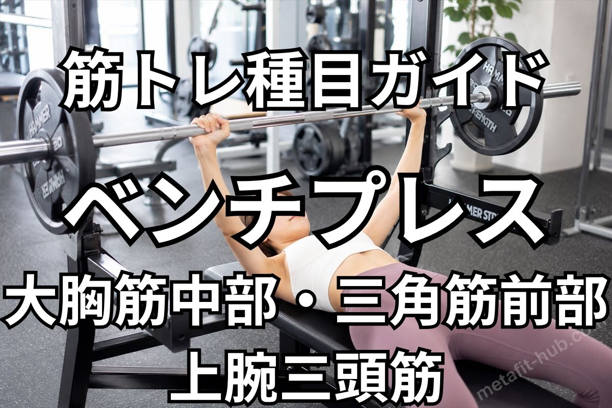 筋トレ種目ガイド「ベンチプレス」の見出し画像。大胸筋中部・三角筋前部・上腕三頭筋を鍛えるジムトレーニングのイメージ