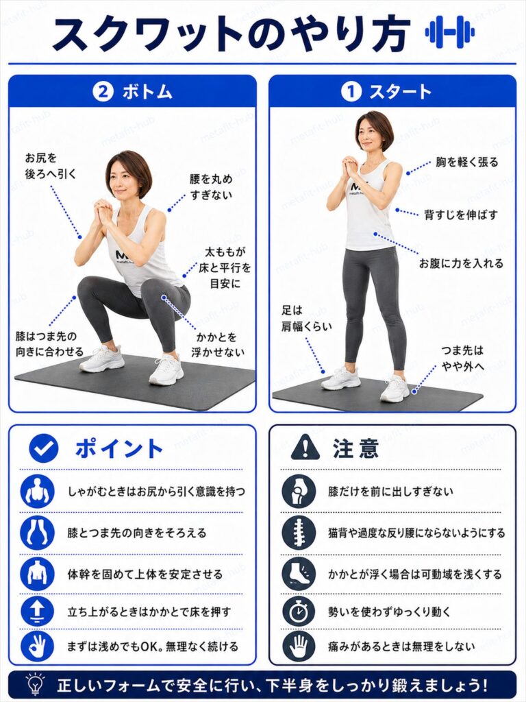 スクワット(自重)のやり方を解説するインフォグラフィック。足を肩幅に開いてしゃがみ立ち上がる動作とフォームのポイントを図解