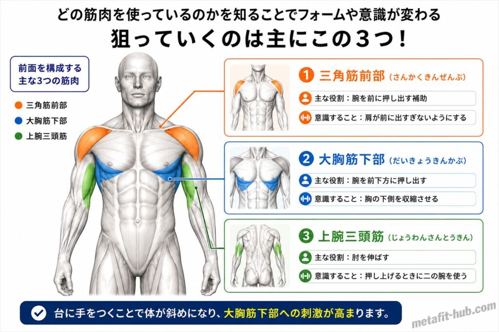 インクラインプッシュアップで鍛えられる胸の筋肉図。大胸筋下部をメインに三角筋前部・上腕三頭筋も使われる