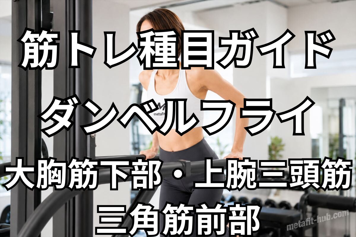 筋トレ種目ガイドとしてディップスで鍛えられる大胸筋下部・上腕三頭筋・三角筋前部を紹介するアイキャッチ画像