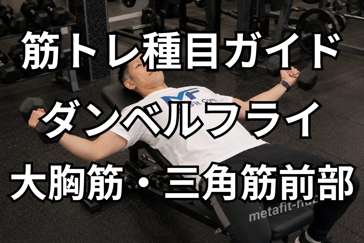 筋トレ種目ガイド「ダンベルフライ」の見出し画像。大胸筋・三角筋前部を鍛えるジムトレーニングのイメージ