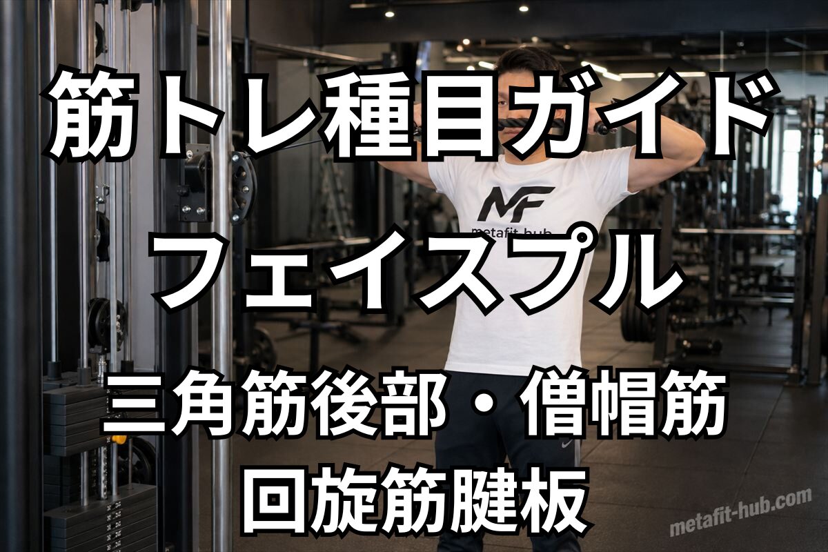 筋トレ種目ガイドとしてフェイスプルで鍛えられる三角筋後部・僧帽筋・回旋筋腱板を紹介するアイキャッチ画像