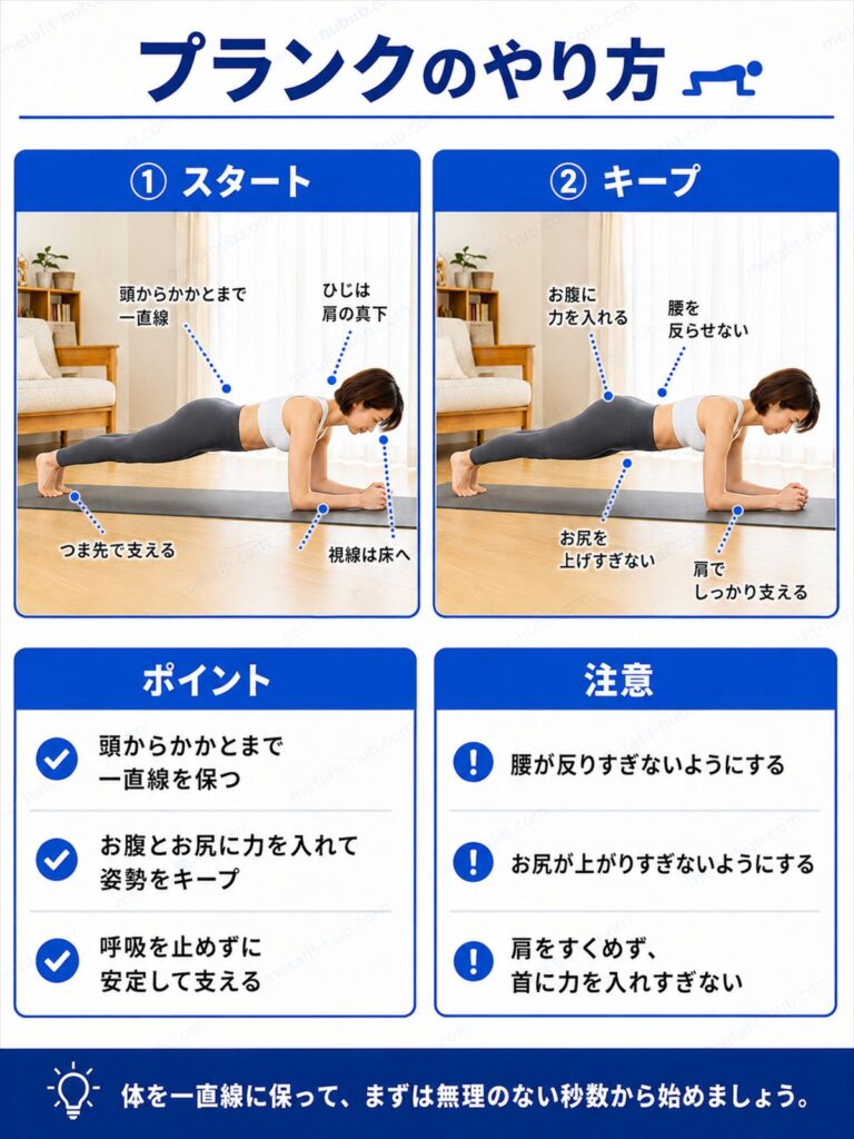 プランクのやり方を解説するインフォグラフィック。肘とつま先で体を一直線に支えるフォームのポイントを図解