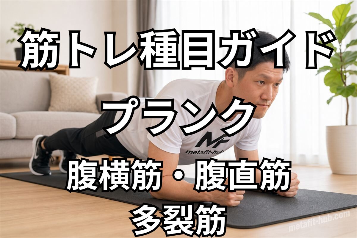 筋トレ種目ガイドとしてプランクで鍛えられる腹横筋・腹直筋・多裂筋を紹介するアイキャッチ画像
