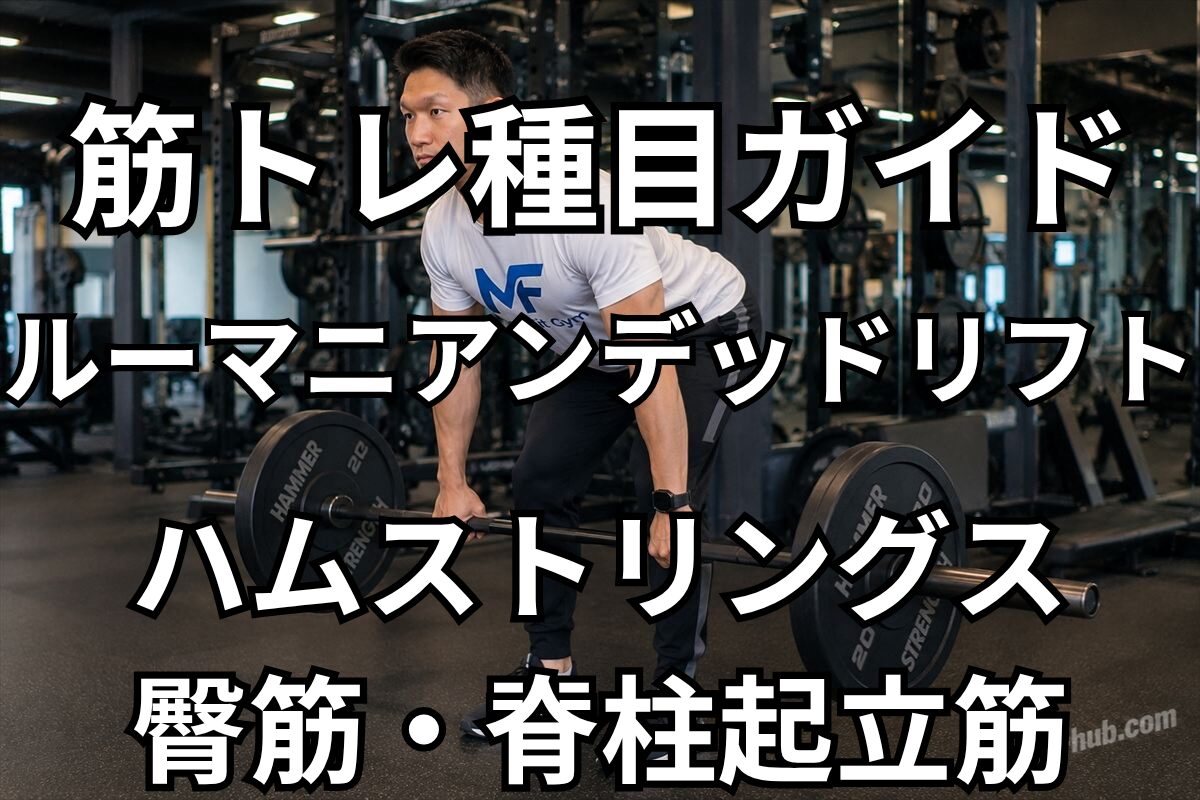 筋トレ種目ガイド「ルーマニアンデッドリフト」の見出し画像。ハムストリングス・臀筋・脊柱起立筋を鍛えるジムトレーニングのイメージ