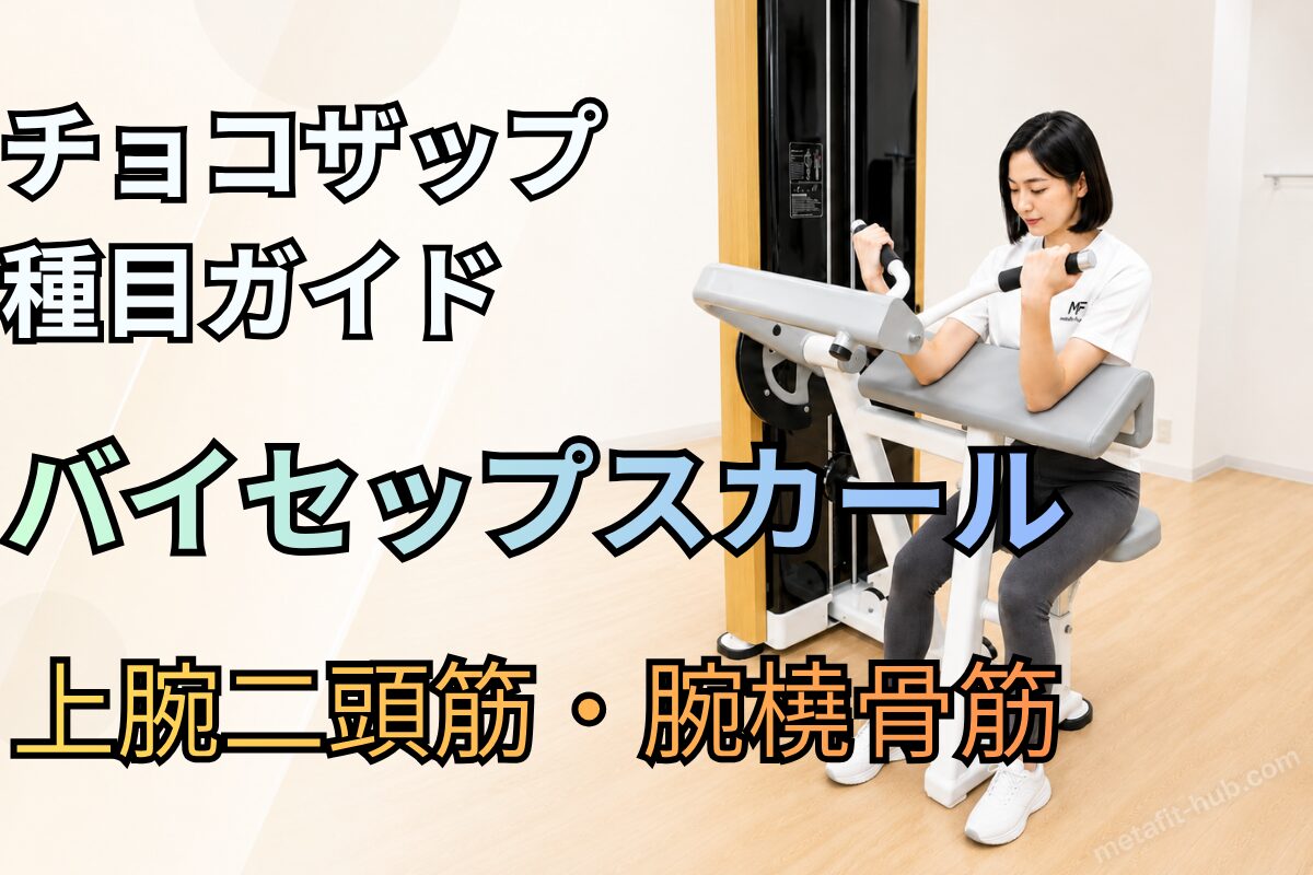 チョコザップ種目ガイドとしてバイセップスカールで鍛えられる上腕二頭筋と腕橈骨筋を紹介するアイキャッチ画像